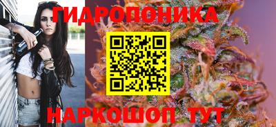 ГАЛЛЮЦИНОГЕННЫЕ ГРИБЫ Краснокаменск