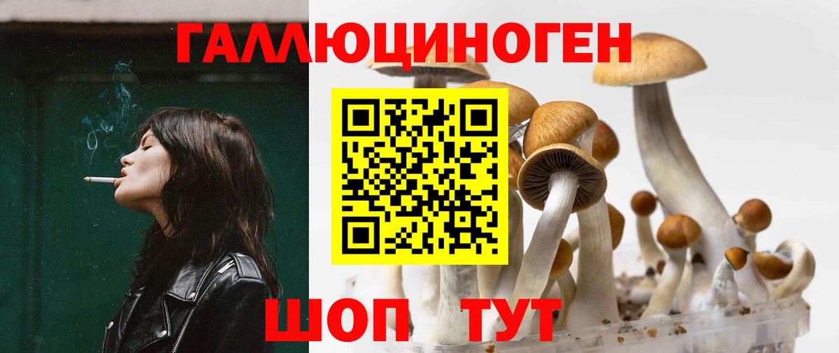 Галлюциногенные грибы Psilocybe  Вход с VPN  Кизляр 
